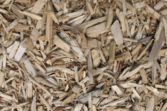 biomass boilers Skilling